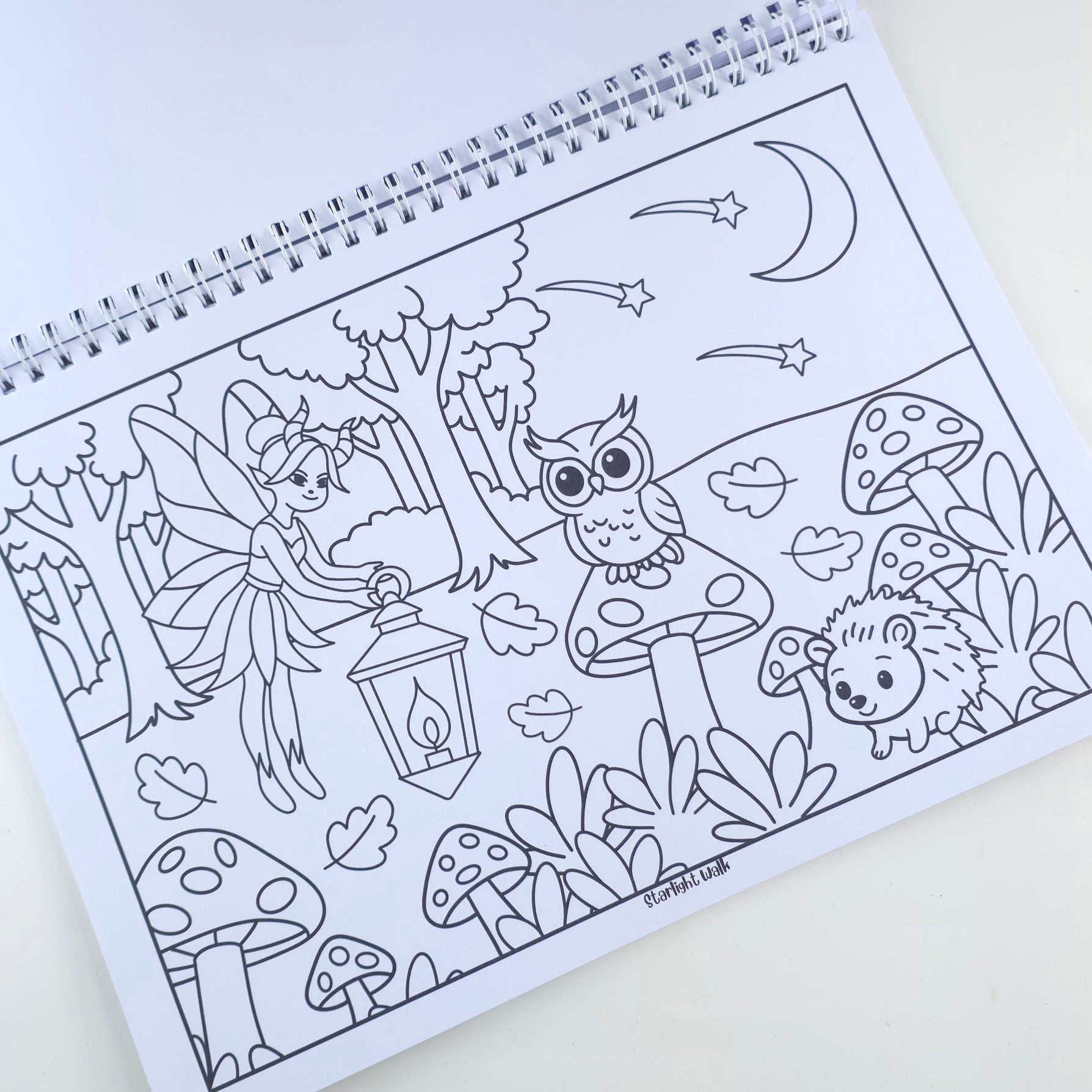 Fairyland Colouring Book