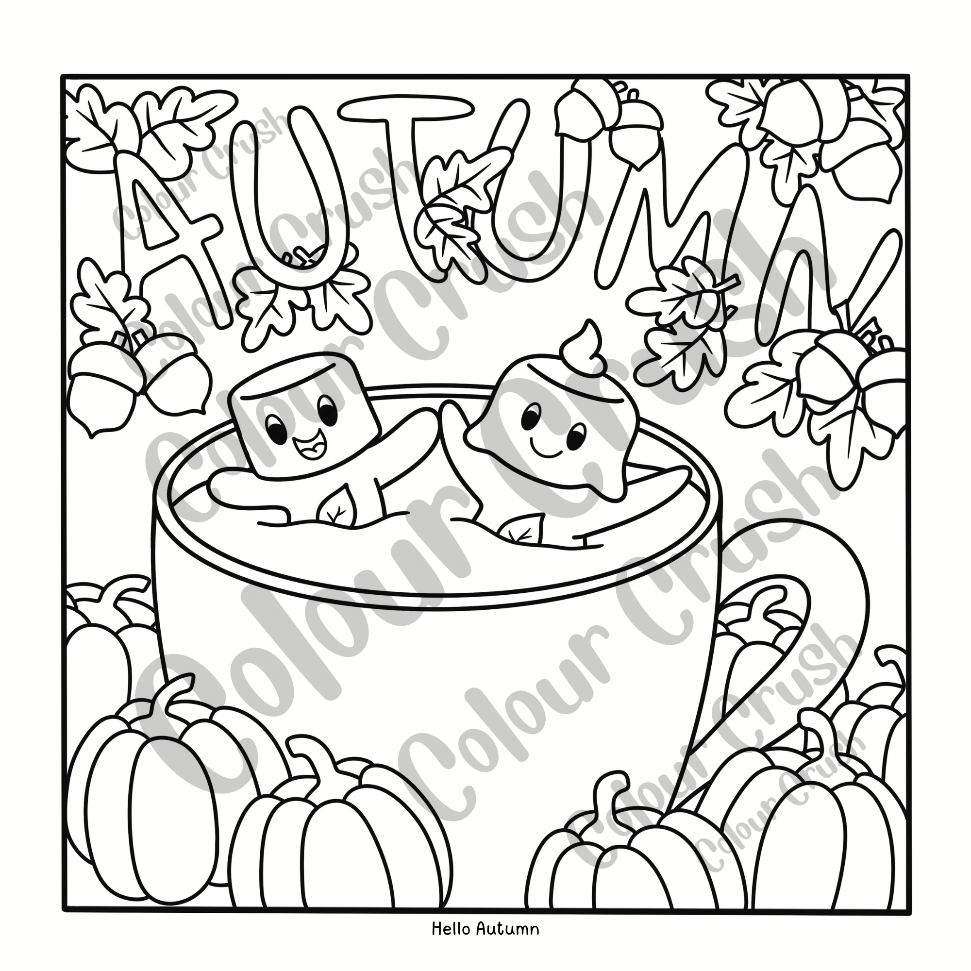 Four Seasons Colouring Book